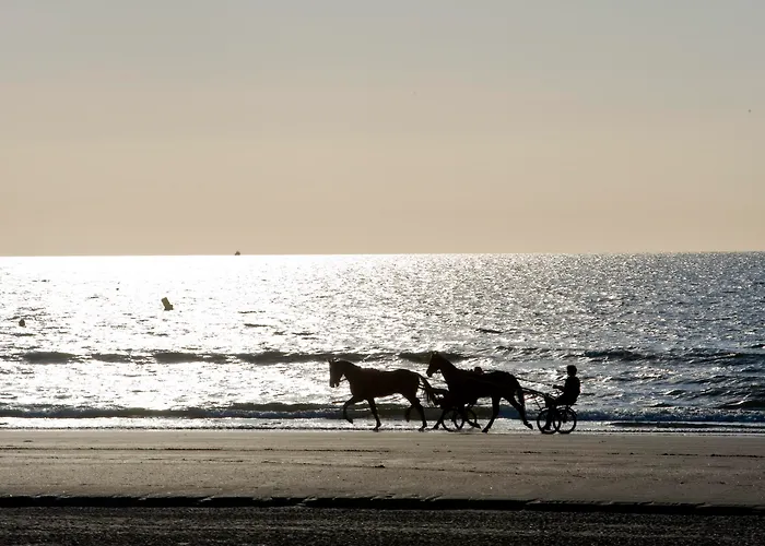 Lägenhetshotell Pierre & Les Embruns Deauville