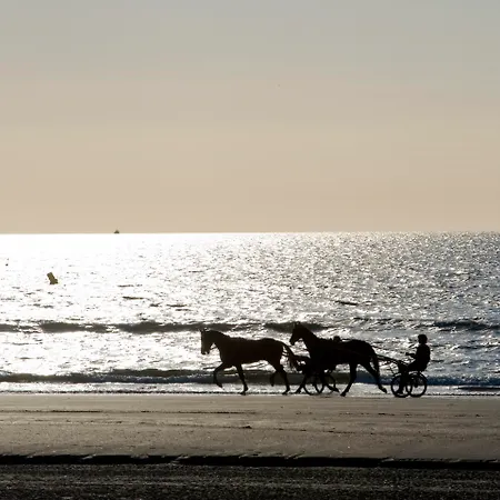מלון דירות Pierre & Les Embruns דוביל